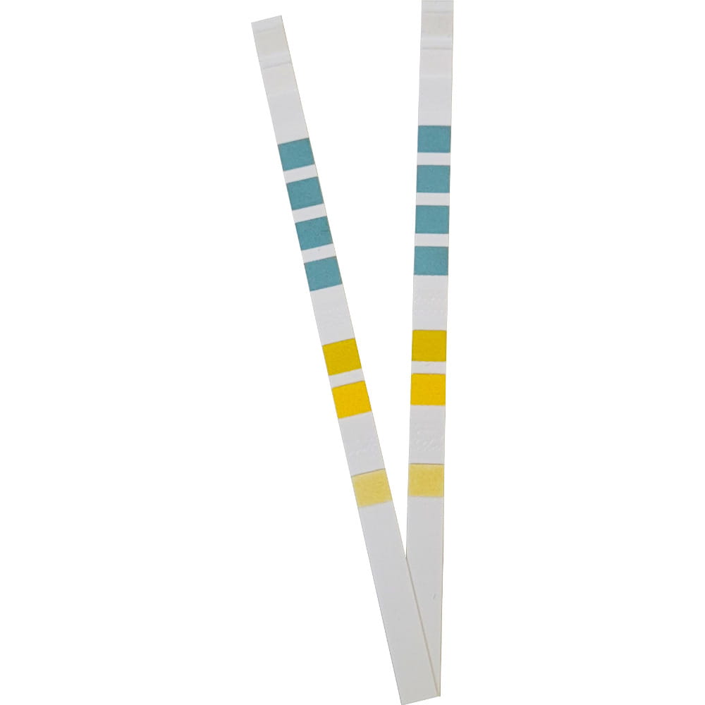 Tropical paski 1000xx.jpg